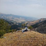 BearWatch Electric Bear Fence System